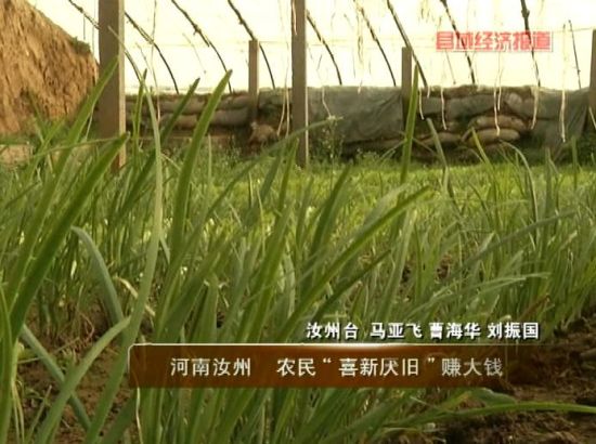 New scientific methods boost Ruzhou farmer incomes