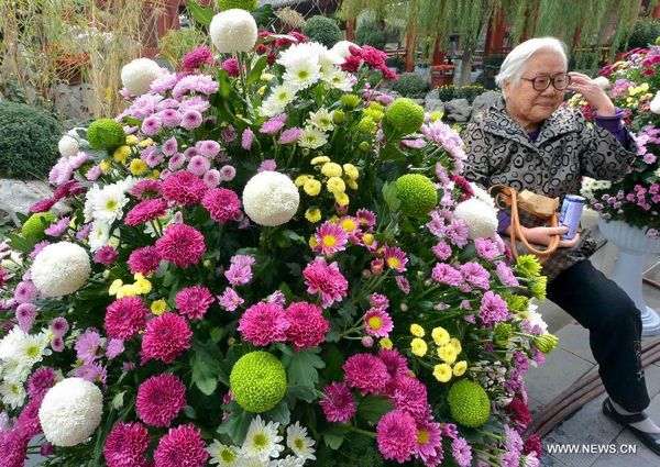 Kaifeng Int'l Chrysanthemum Exhibition kicks off