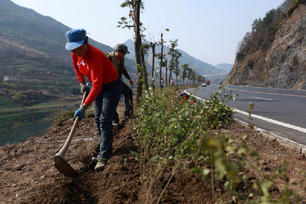 Tree planting boosts China's green drive