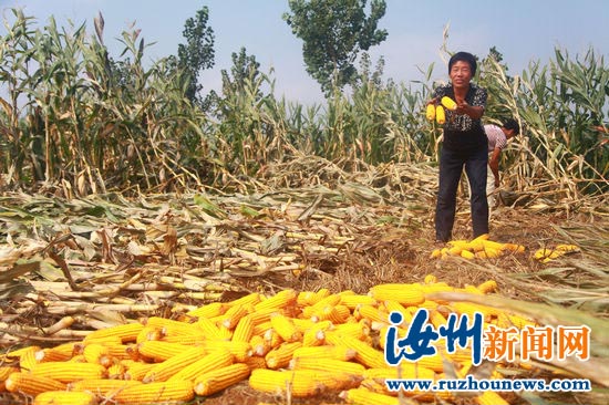Central China has a bountiful autumn